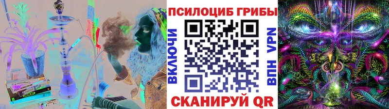 Псилоцибиновые грибы прущие грибы  купить   Муравленко 