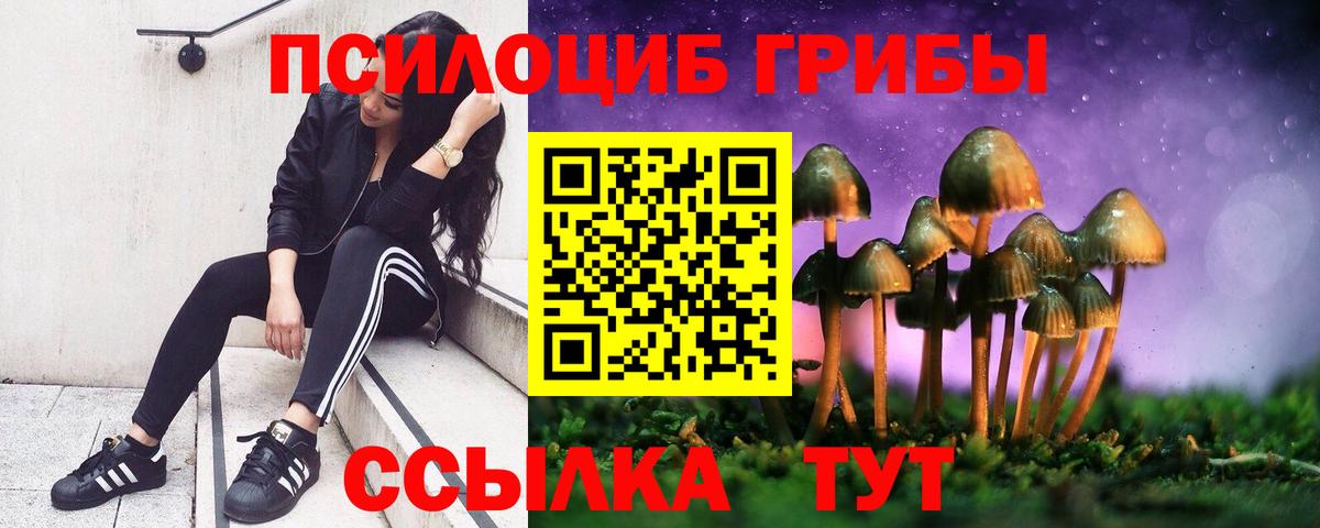 Муравленко  хочу   Псилоцибиновые грибы Psilocybe  Вход с VPN  Псилоцибиновые грибы мухоморы 